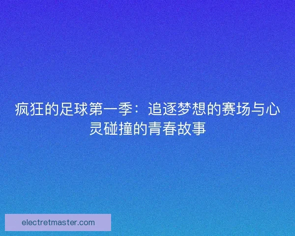 疯狂的足球第一季：追逐梦想的赛场与心灵碰撞的青春故事